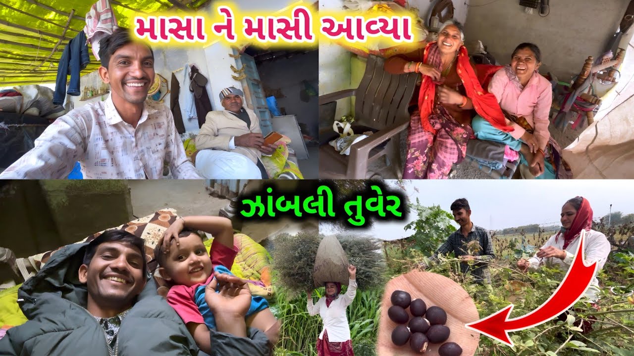 જાંબલી તુવેર || માસા ને માસી આવ્યા || Life at Botad Village Vlogs 