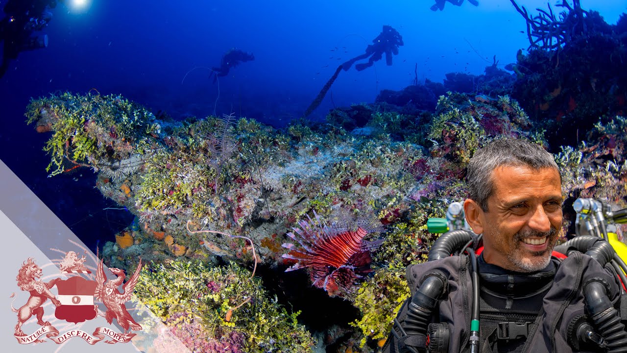 Exploring the Coral Reef's Twilight Zone | Luiz Rocha
