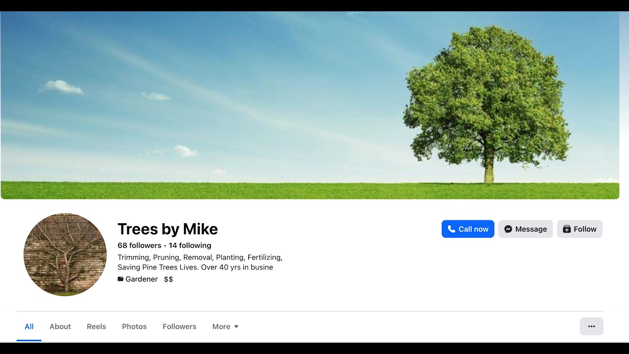 Trees by Mike Arizona - Website Review