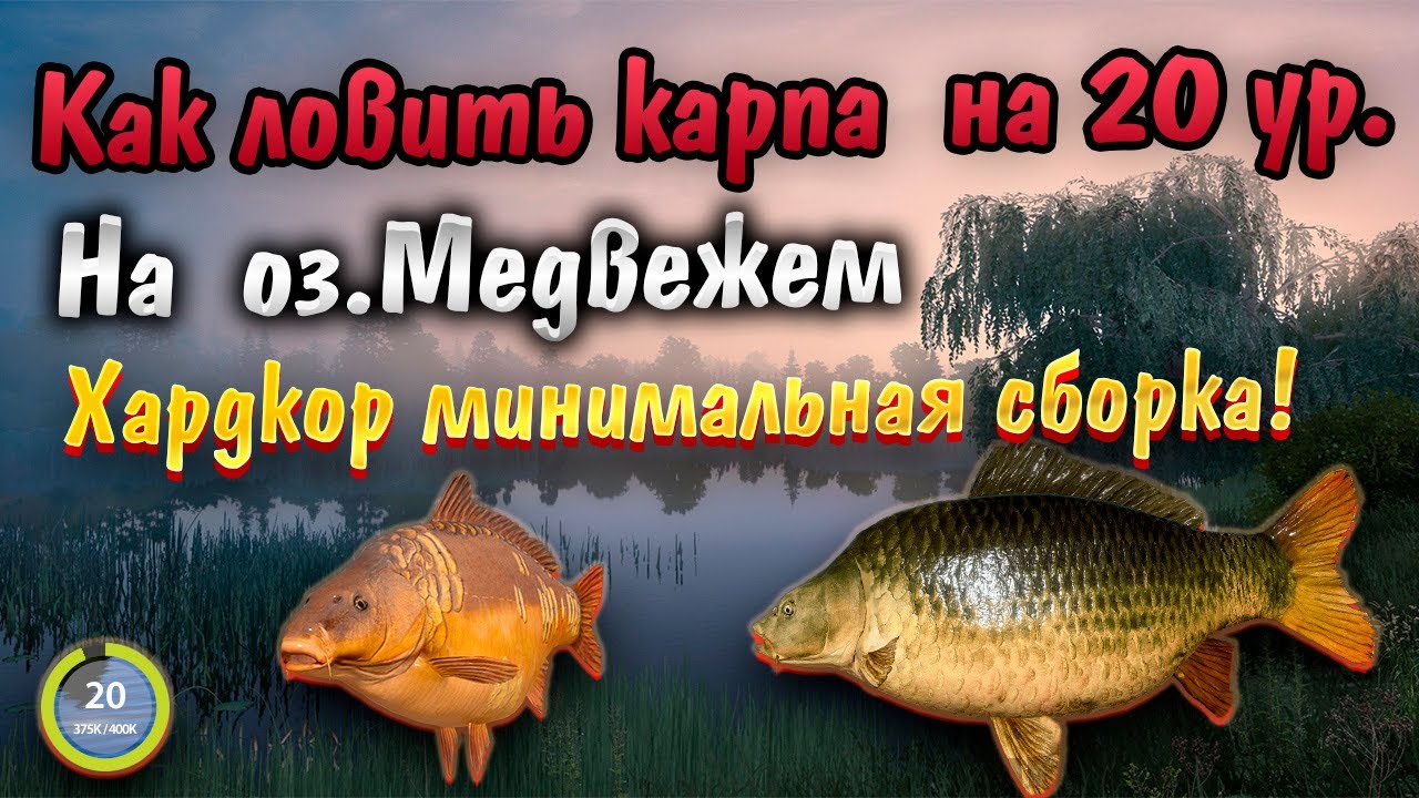 Карп на оз.Медвежье. Стоит ли туда ехать? на 20 ур. Хардкор режим!  |Русская Рыбалка 4 | РР4