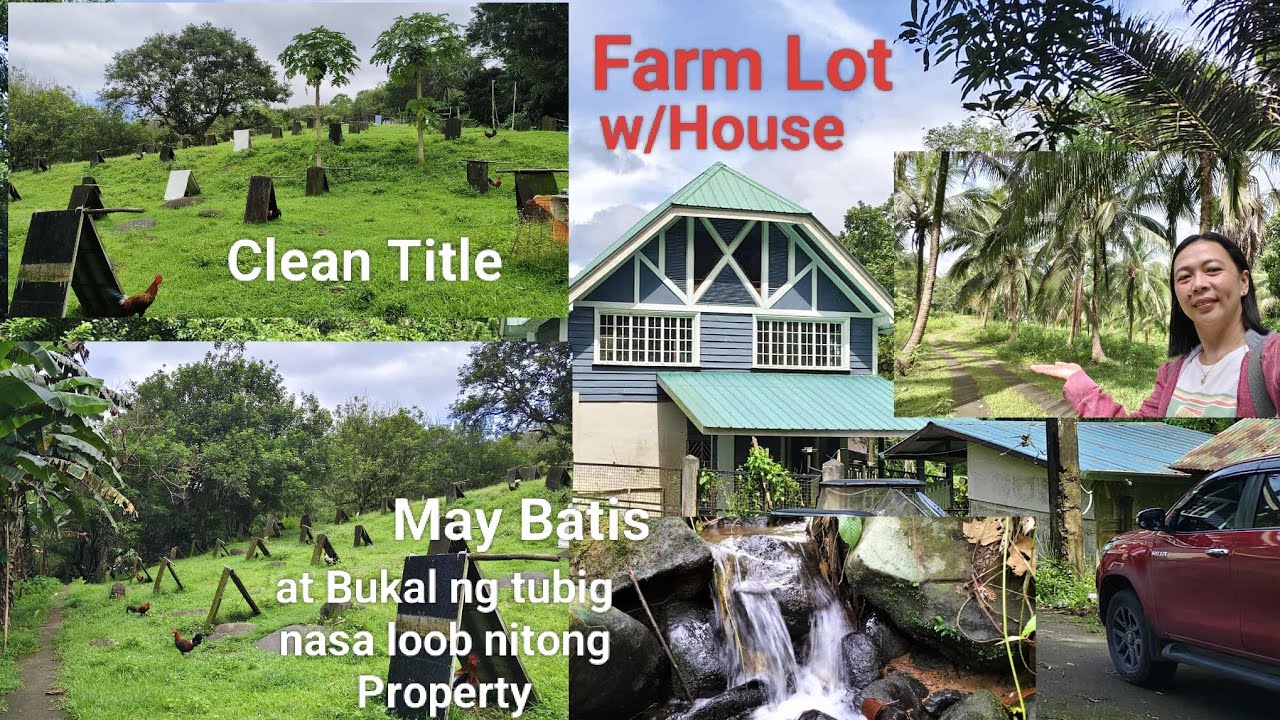 #Vlog381 Clean Title Farm Lot w/House for sale | May Batis at Bukal ng Tubig nasa Loob ng Property