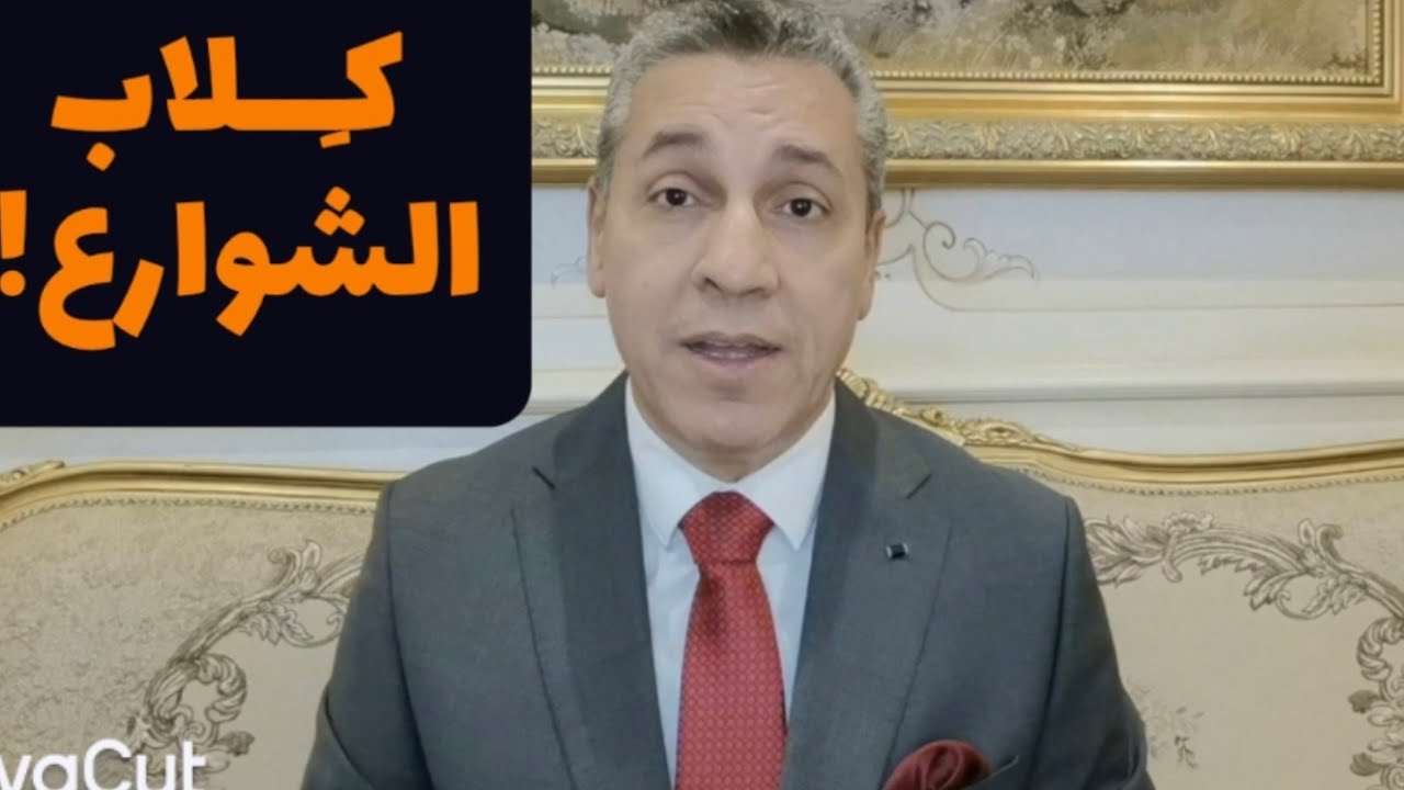 ماهي أسباب تفشي ظاهرة الكلاب الضالة؟! لمصلحة مين؟! والحل في رأيي...وتسعدني مقترحاتكم #معركة_الوعي