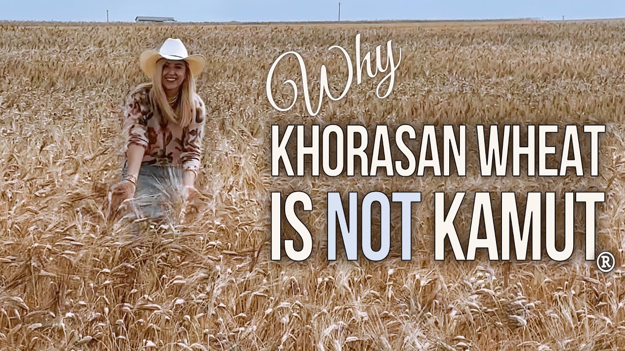 Почему Хорасан НЕ всегда Камут — в чем разница?