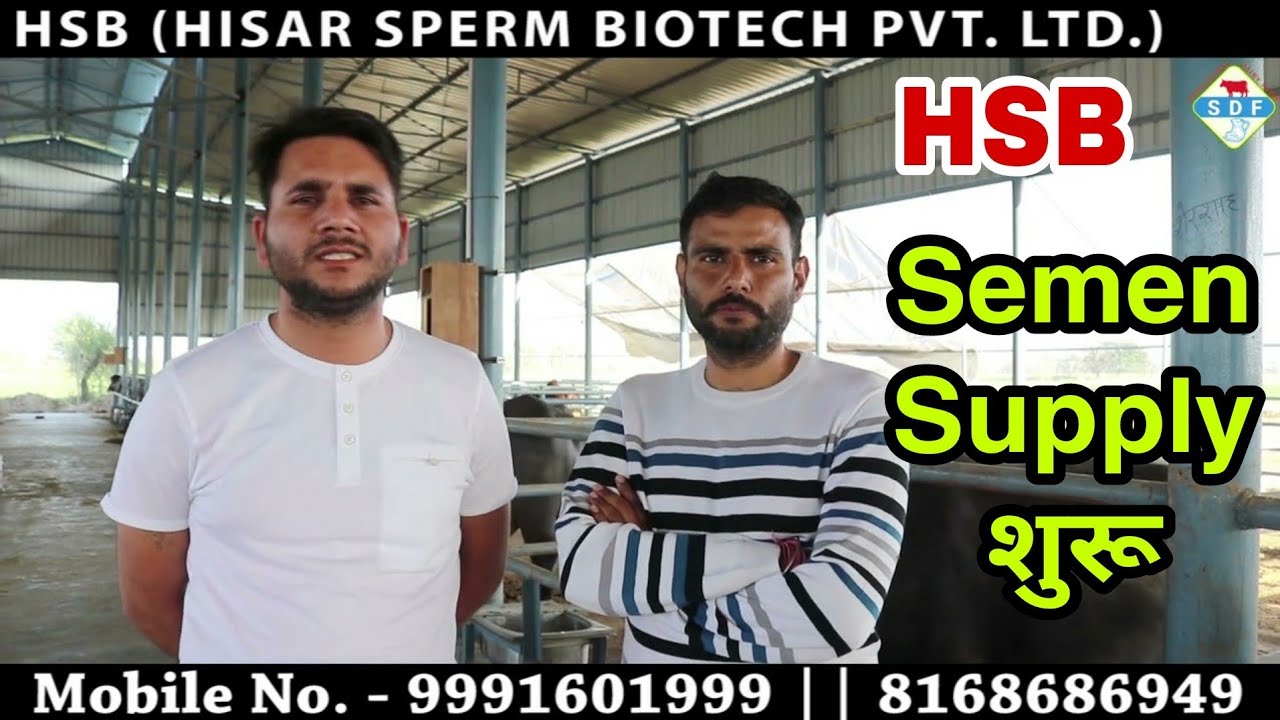 Hisar Sperm Biotech (HSB) से शुरू हुई Sperm Supply || Video में जानें आपके Area में कहां मिलेगी Dose