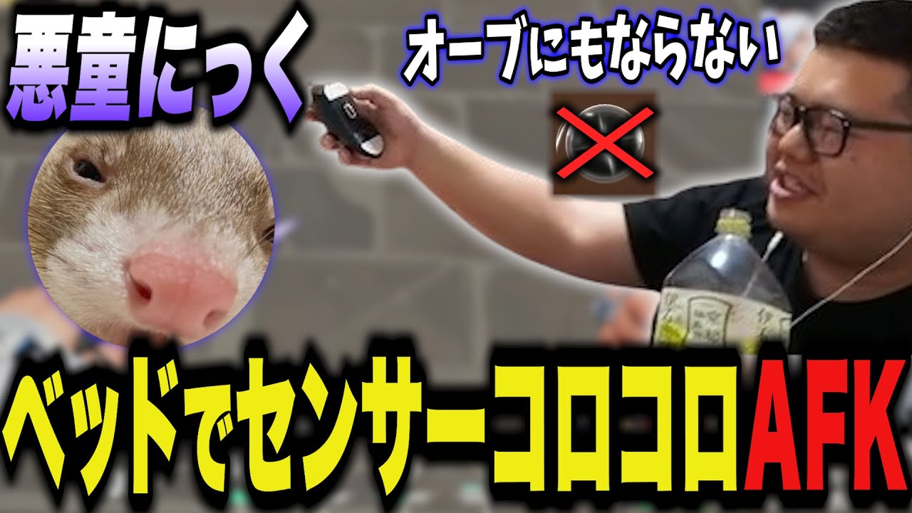 ドカタフルパで本垢のにっくがAFK【VALORANT】にっく るならんど めいどりーむ むらお