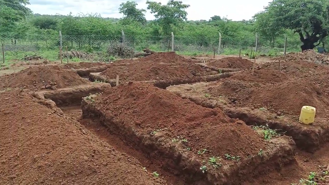 DAY 1 OF BUILDING MY DREAM HOME 