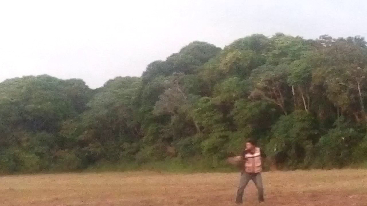 Pasadas con tira larga aplomada