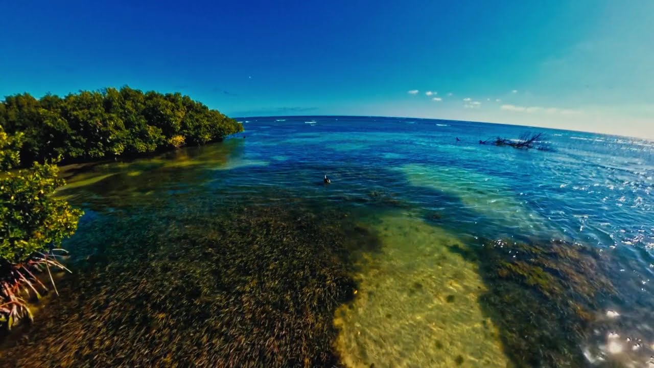 Playa Santa and Manglillo Chiquito : Puerto Rico from Above 4K 60FPS