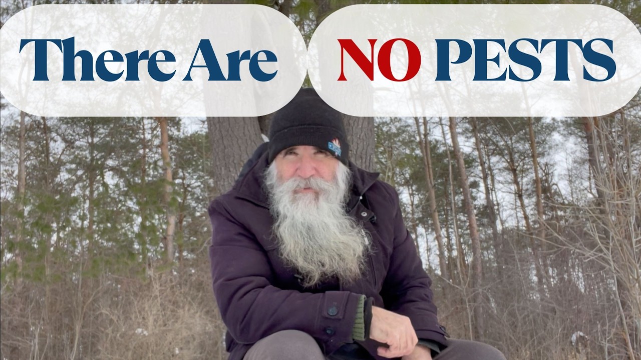 There Are No Pests. How We Grow Food Alongside Wildlife.