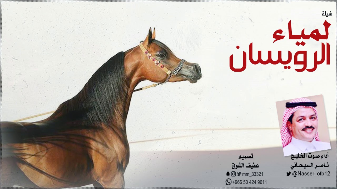 جديد وحصري شيلة لمياء الرويسان أداء صوت الخليج ناصر السيحاني | روعه | 2019