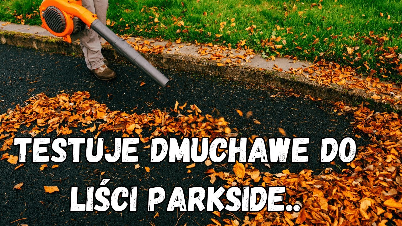 Dmucham liście...