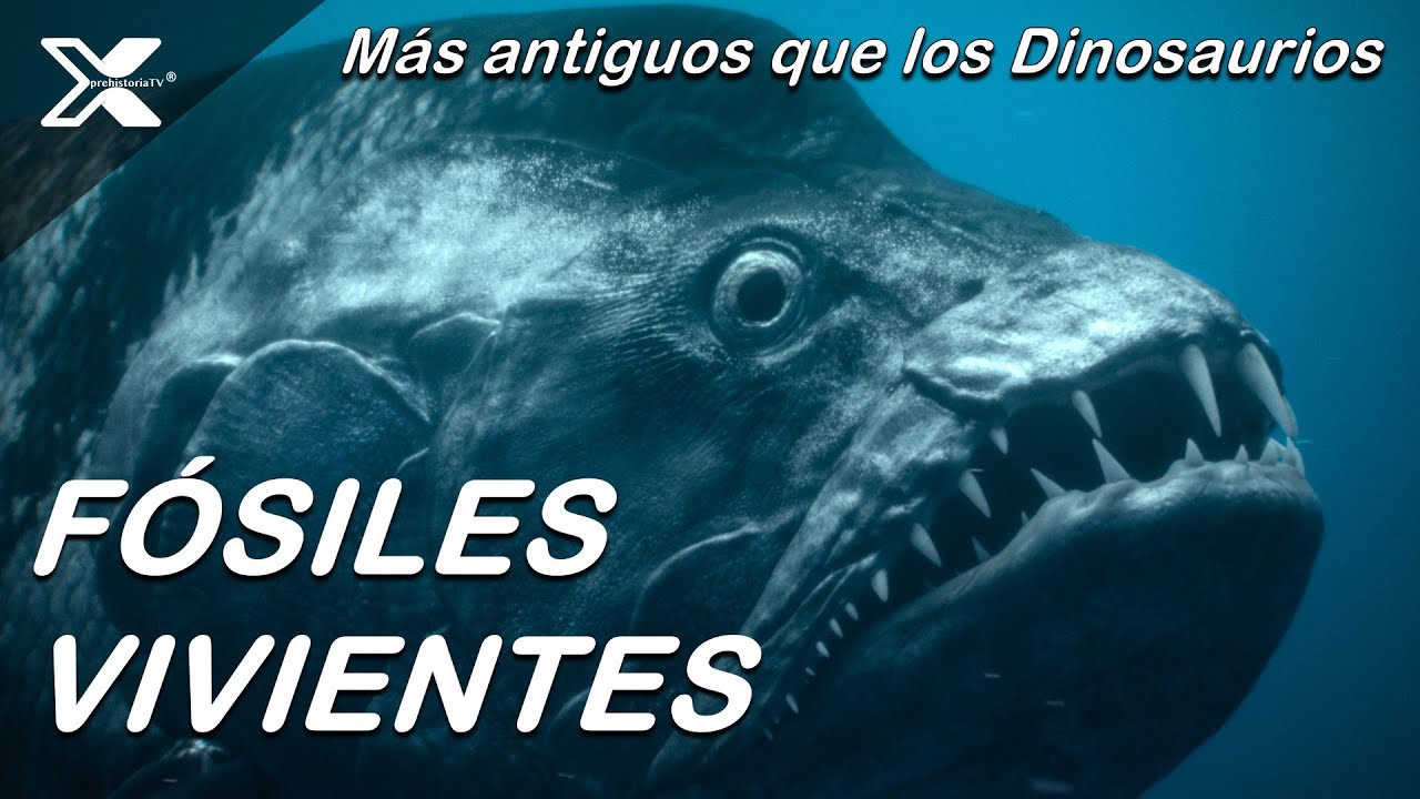 F&oacute;siles Vivientes: Animales de la Era de los Dinosaurios que a&uacute;n existen.