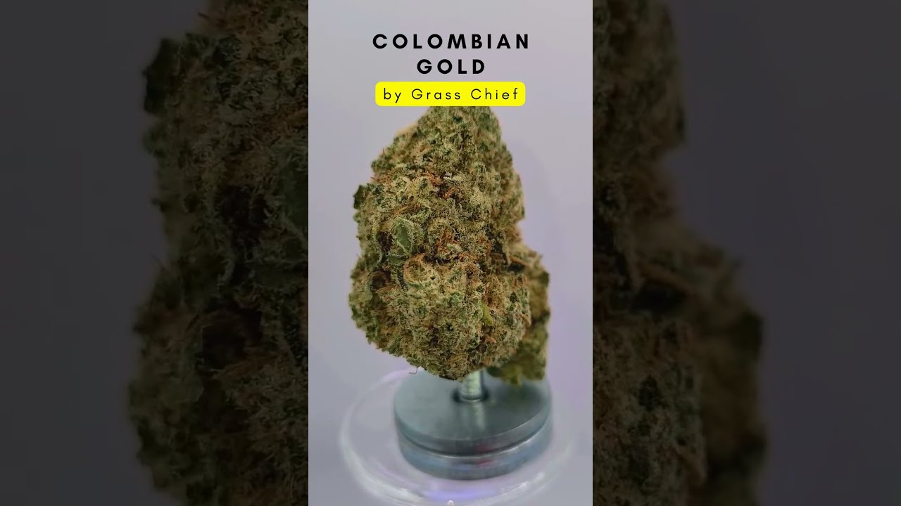 Colombian Gold by Grass Chief