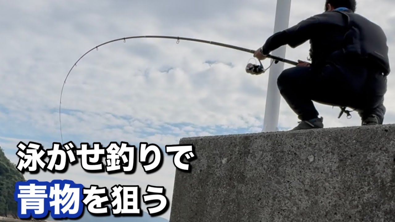 秋の瀬戸内堤防 泳がせ釣りで青物を狙う 2024年10月