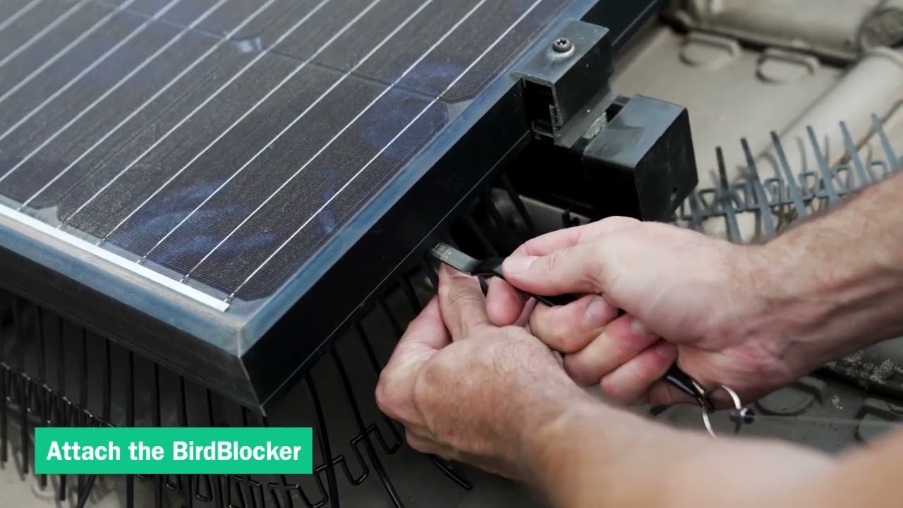 🔧 Cómo cortar y adaptar BirdBlocker alrededor del marco del panel solar