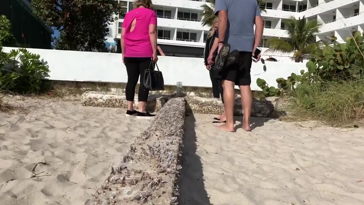 Cross remains on Fort Lauderdale beach days after it was discovered