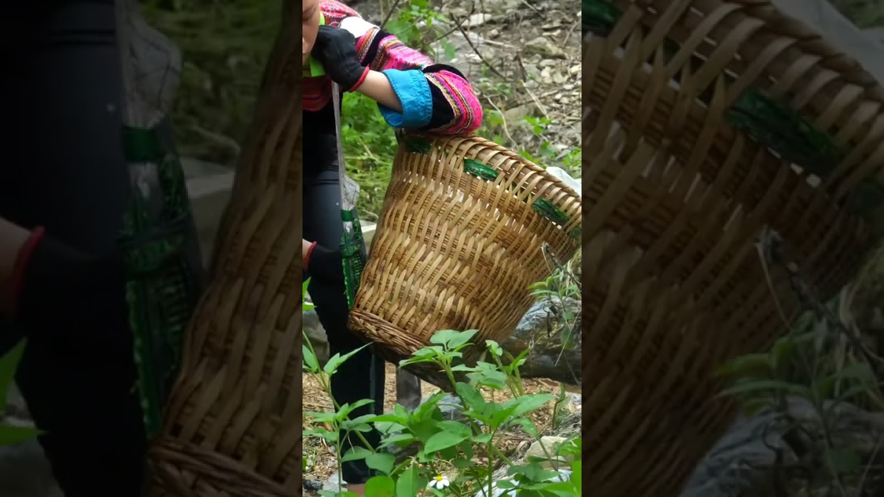 Catch Many Big Fish Using Traditional Traps - 17 Year Old Single Mother