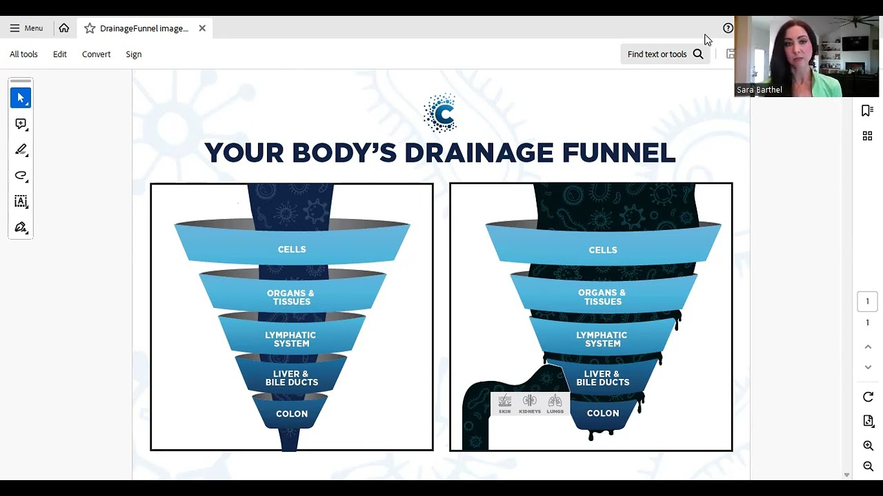 Opening Detox Drainage Funnels: Step 1 of any detox