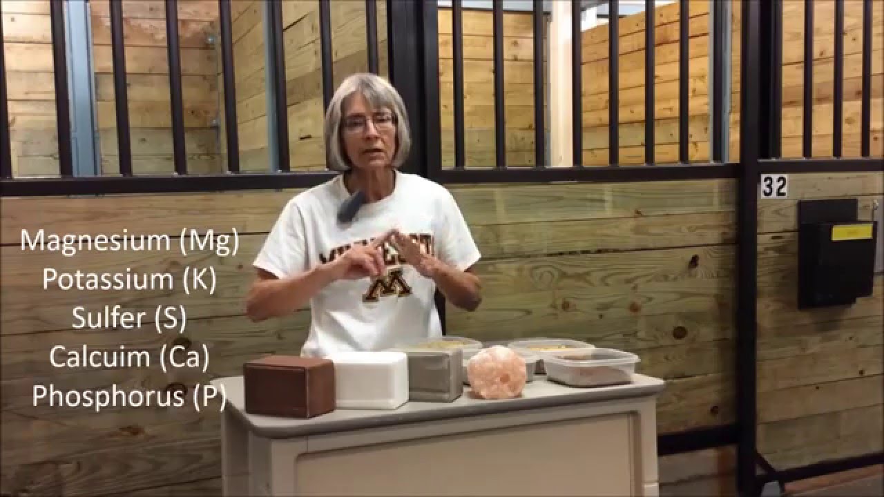 The Role of Minerals in the Horse