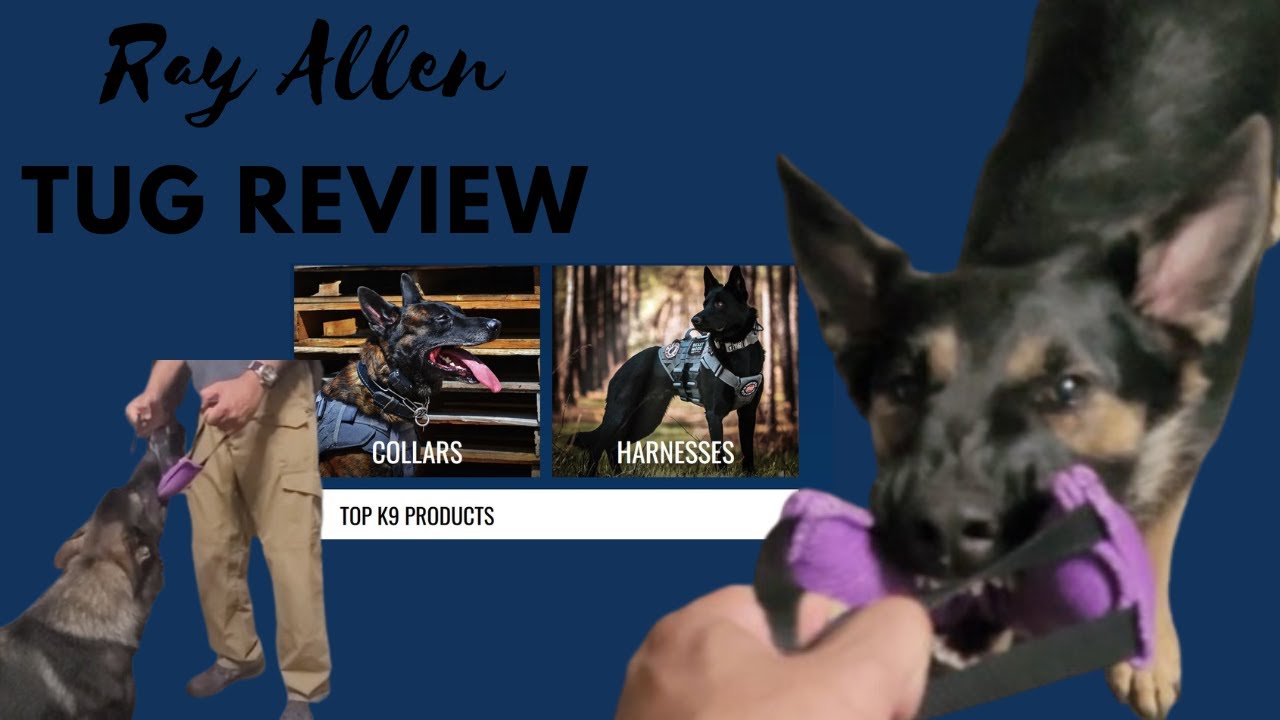 Ray Allen Bite Suit Tug Review: Does it hold up to expectations?