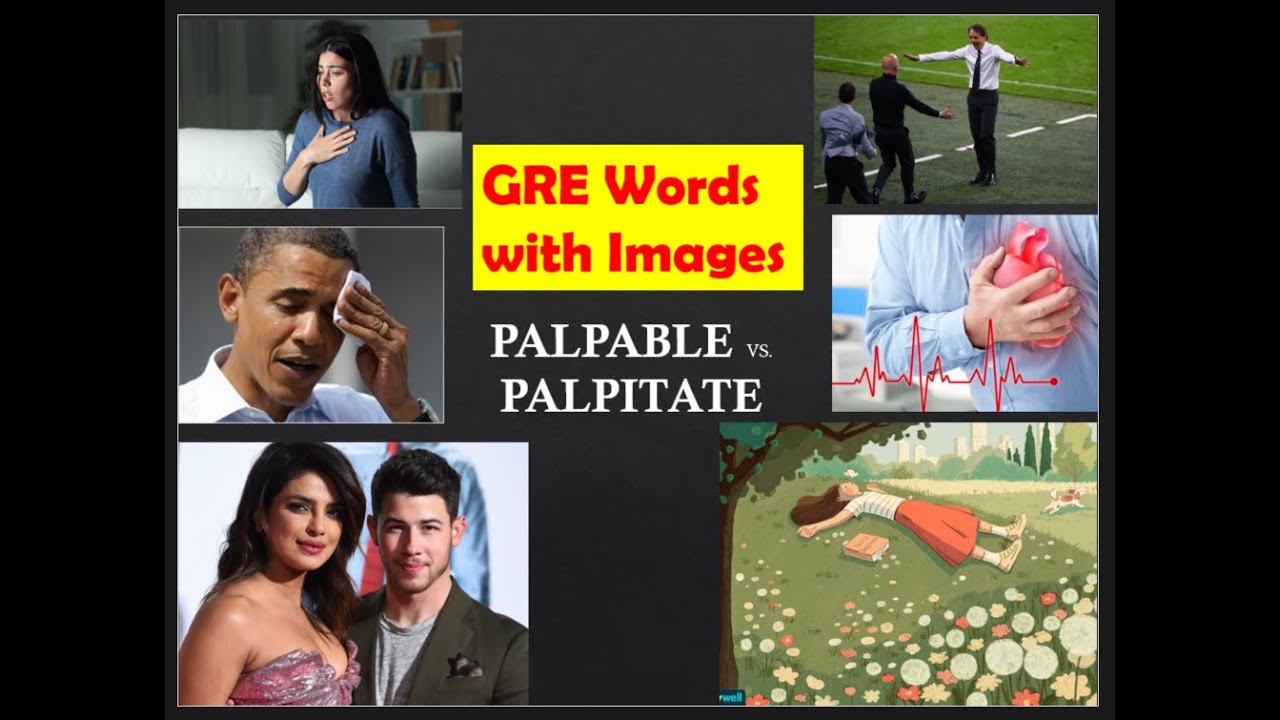 PALPABLE Meaning | PALPITATE Meaning | confusing GRE words with images | gre vocabulary