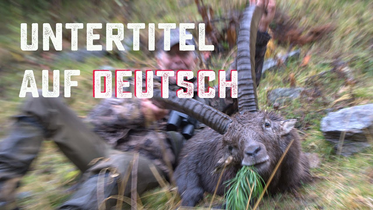 STEINWILDJAGD DER FILM - Der Steinbock des Lebens | Hunting Ibex | Graubünden | Il buc dad Edi