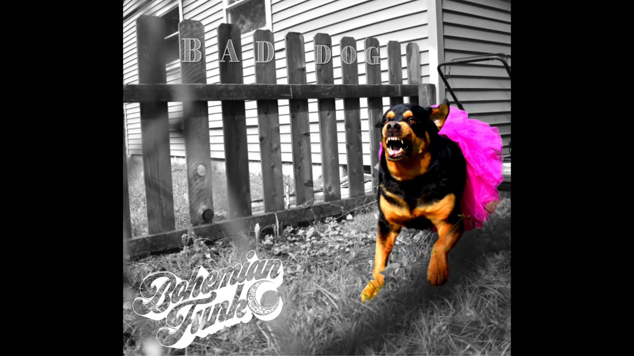 Bohemian Funk- Bad Dog (Audio)