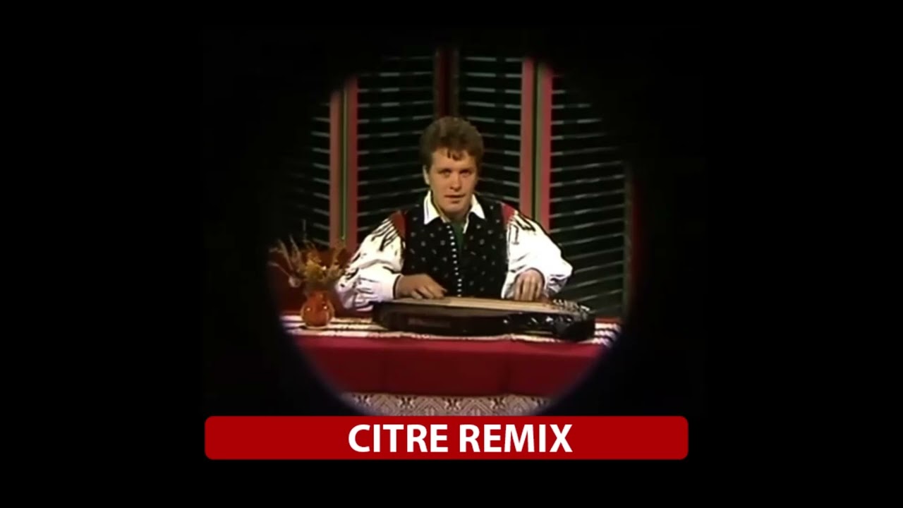 Karli Gradišnik - Citre (Sestavljena polka) [DJOU Remix]
