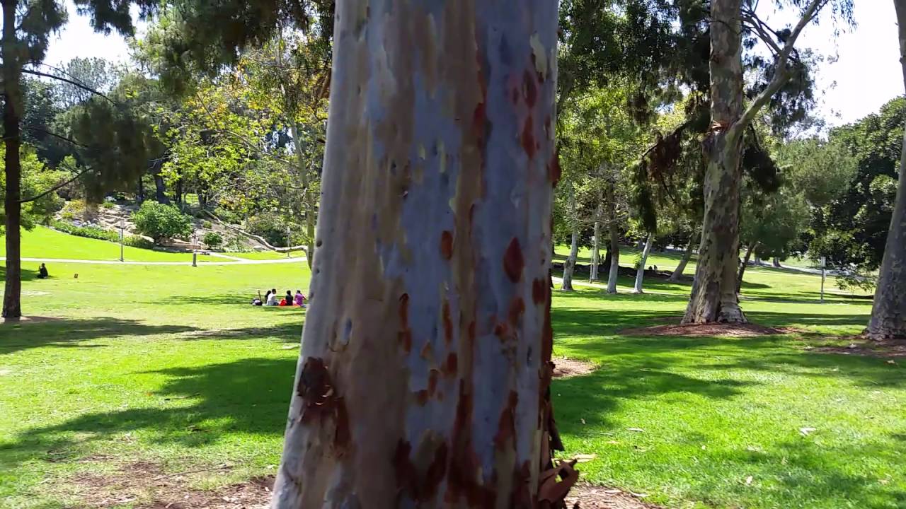 Walking through UCI