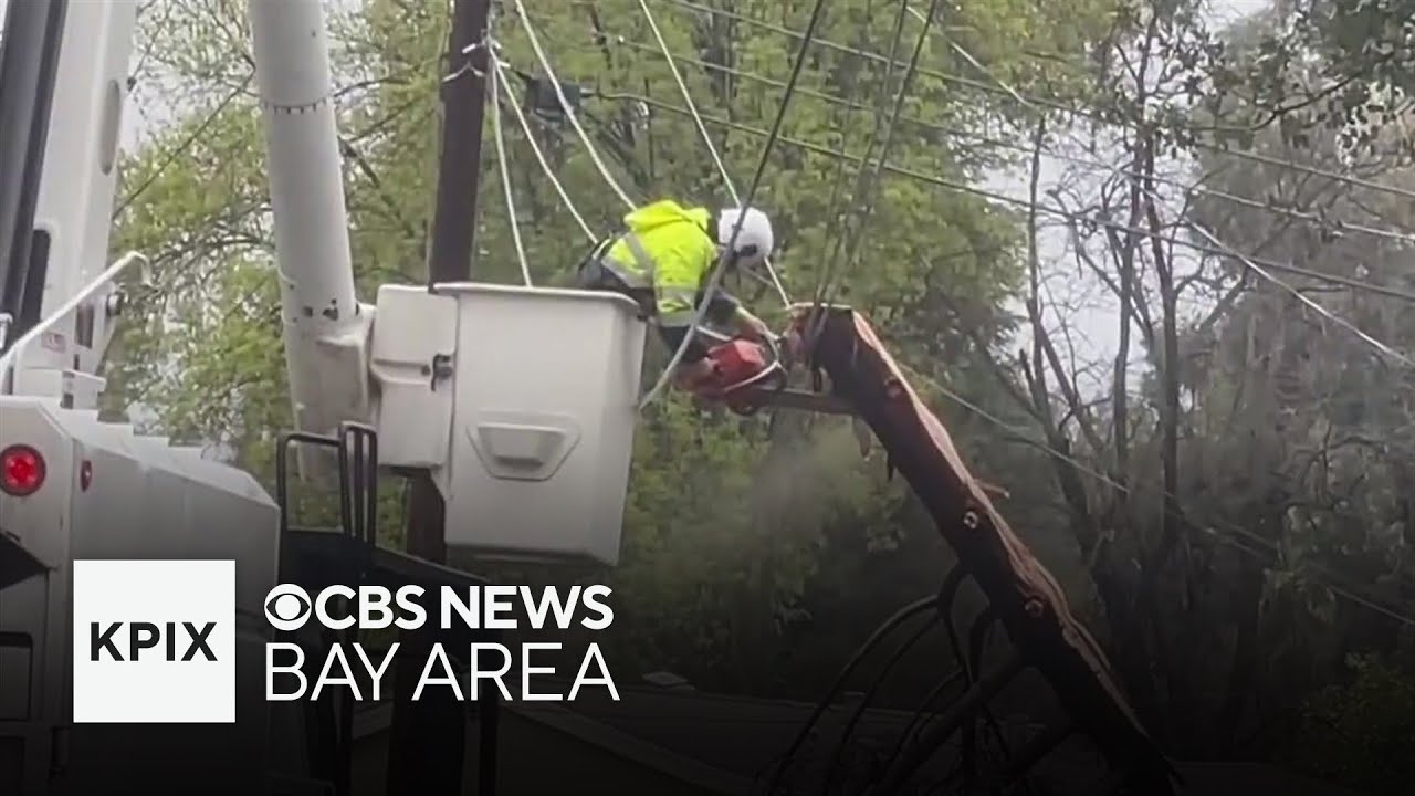 Lightning strikes tree in East Bay causing it to split, fall onto power line