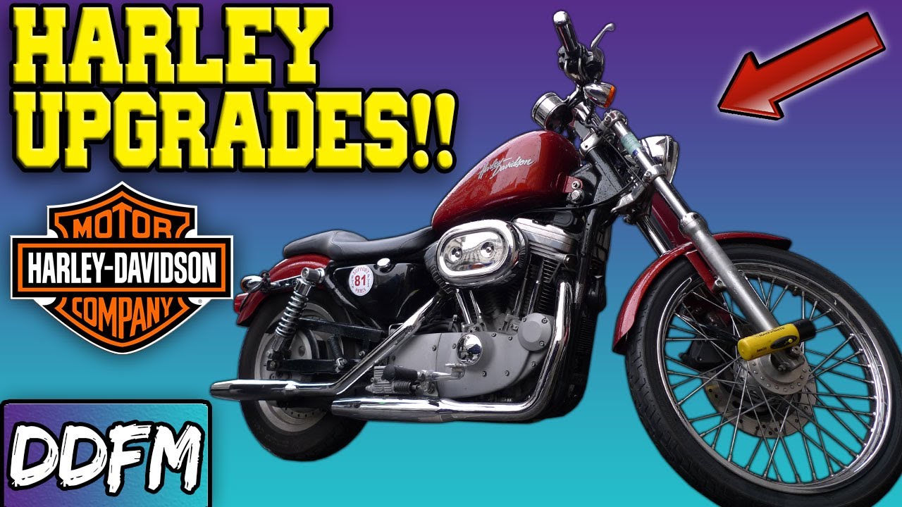 5 Kick-Ass Sportster Modifications