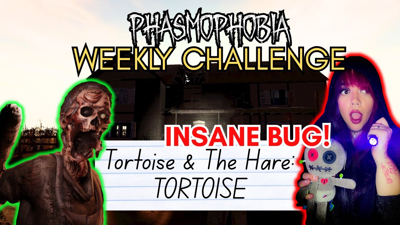 Tortoise Weekly Challenge Guide… and This Bug Was INSANE 👀