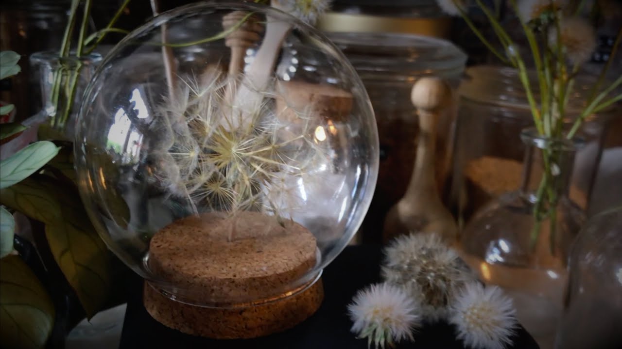 BASTELN MIT TANTE | PUSTEBLUMEN KONSERVIEREN & HALTBAR MACHEN | TEIL 1 | GIRLANDEN UND BUDDELBLUMEN