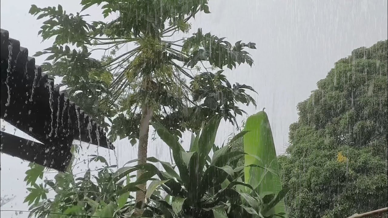 SUPER HEAVY RAIN SOUNDS FOR SLEEP 🌧️ Deep Sleep Rain Noise • Fall Asleep Fast • Insomnia Relief