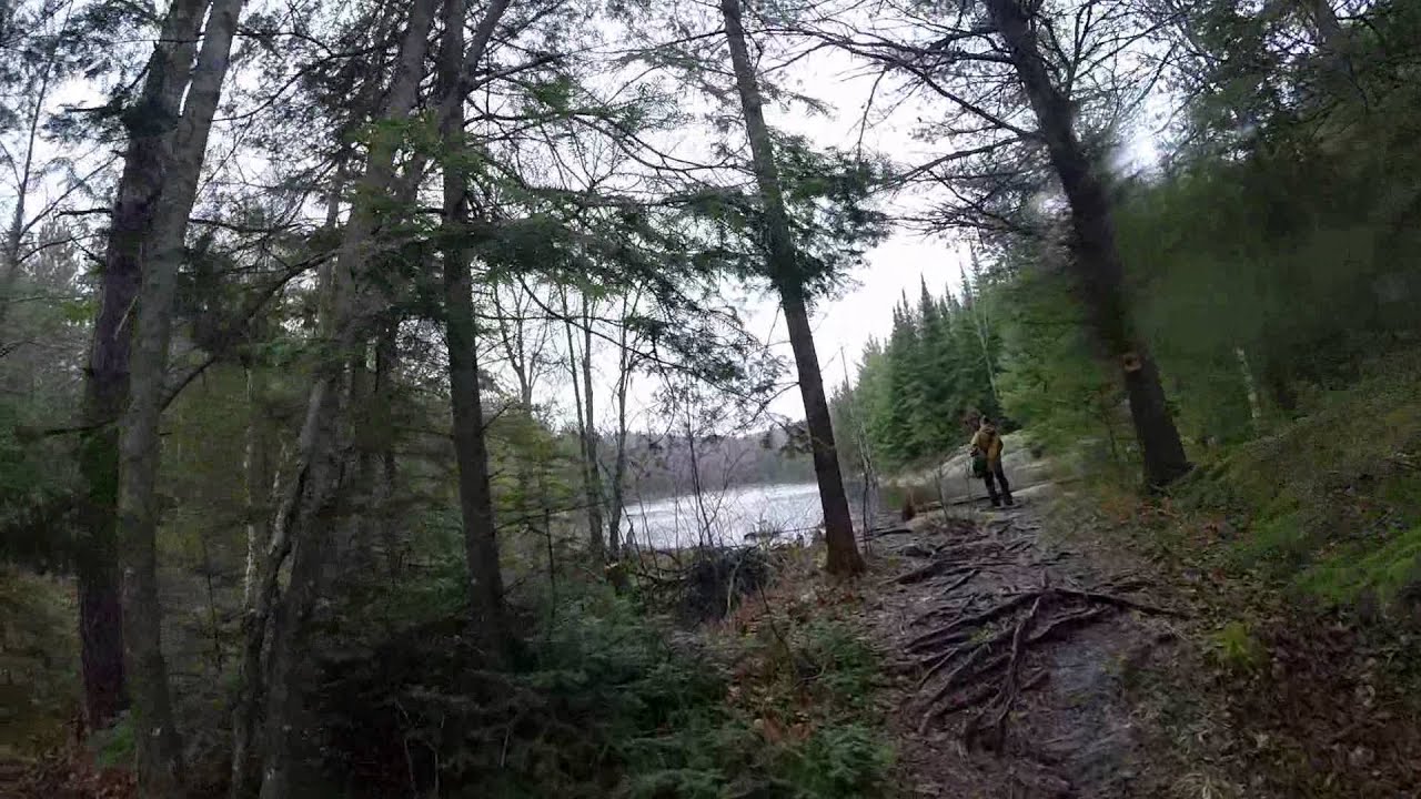 Algonquin Park Trail - Centennial Ridges Trail