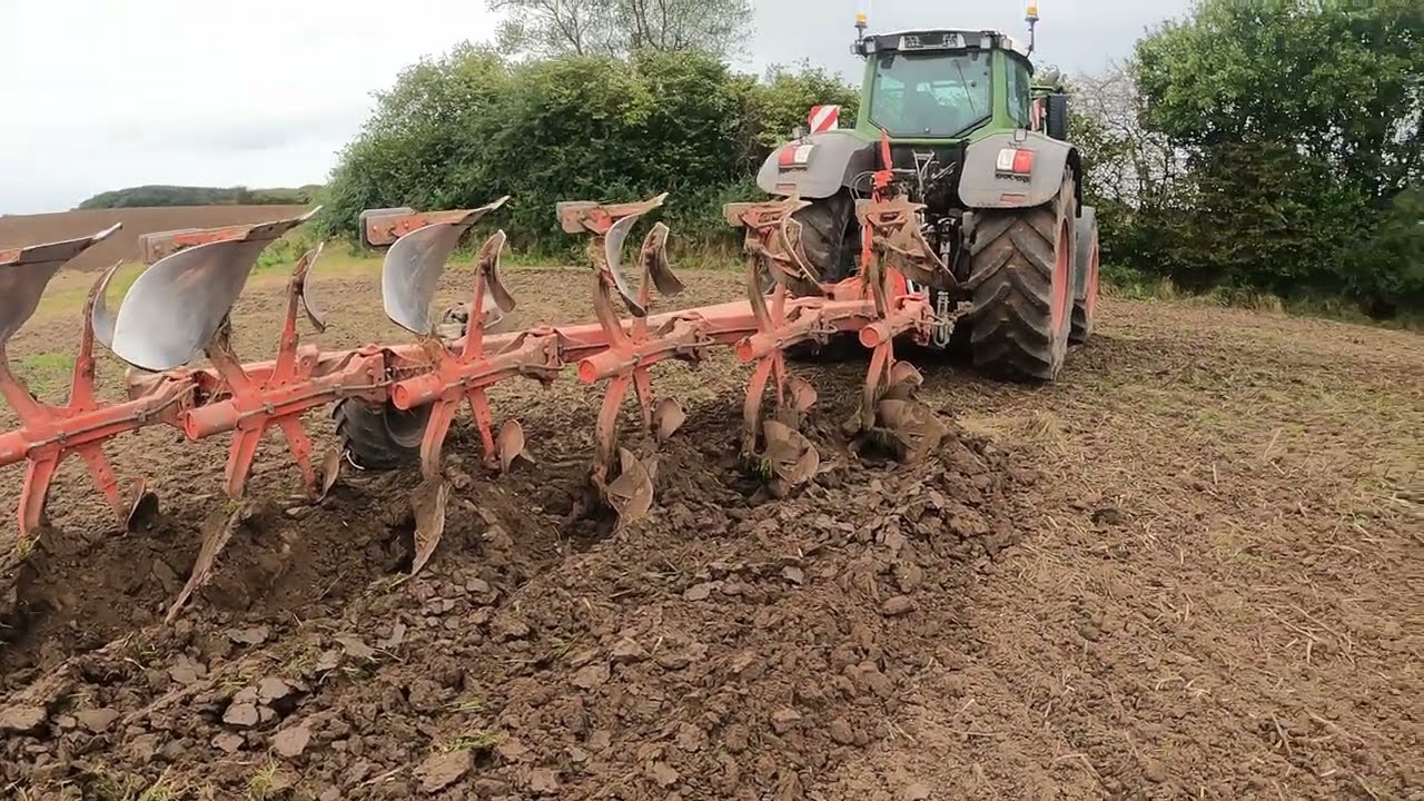 Pløjning! Fendt 936 Vario Efterår 2023 | KLF Dansk Landbrug