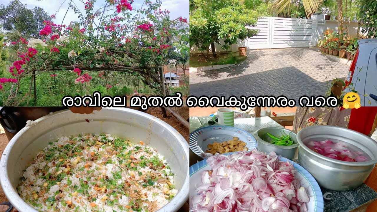 Morning to Evenig vlog/#Fish curry#Family vlog Malayalam