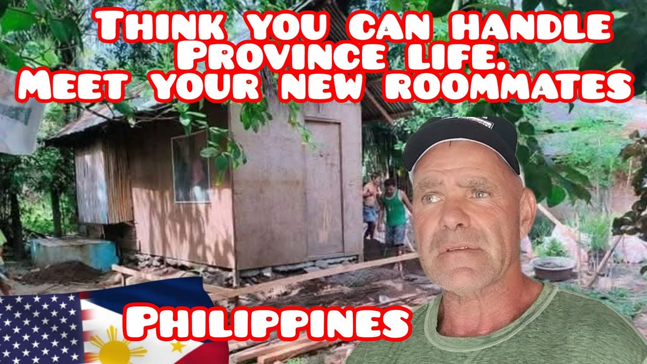 Province Life in the Philippines Roaches Spiders Snakes oh my!