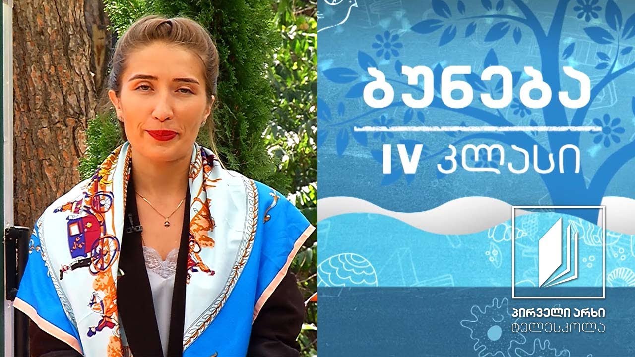 ბუნება, IV კლასი - ხერხემლიანი ცხოველები; ქვეწარმავლები, ძუძუმწოვრები და ფრინველები #ტელესკოლა