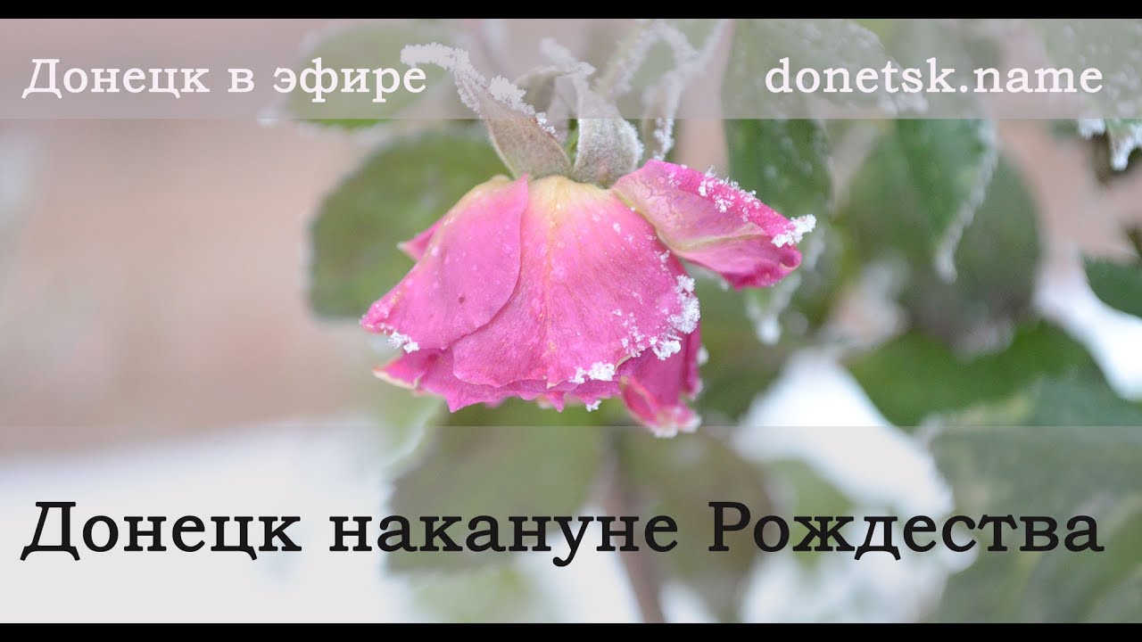 Донецк накануне Рождества