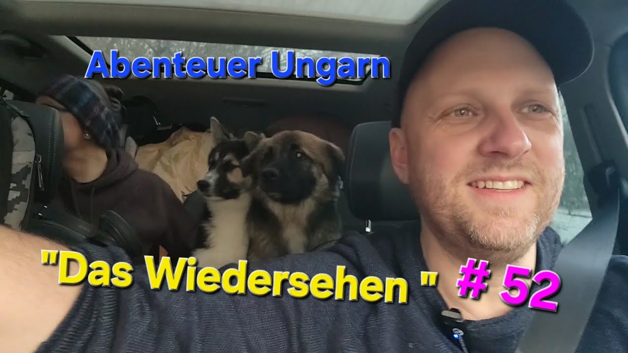 Rückkehr nach Ungarn und Wiedersehen mit Mia und Toni!      Vielen lieben Dank an Gabor und Emilia