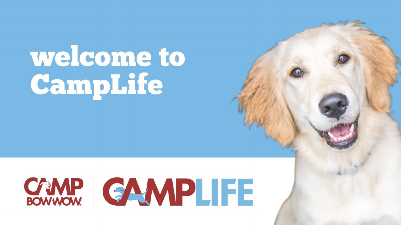 Welcome to CampLife