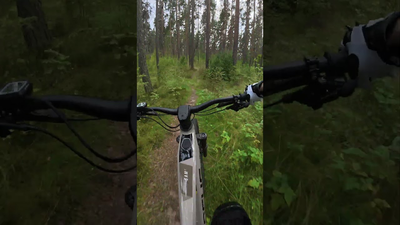 EMTB fun 😹 