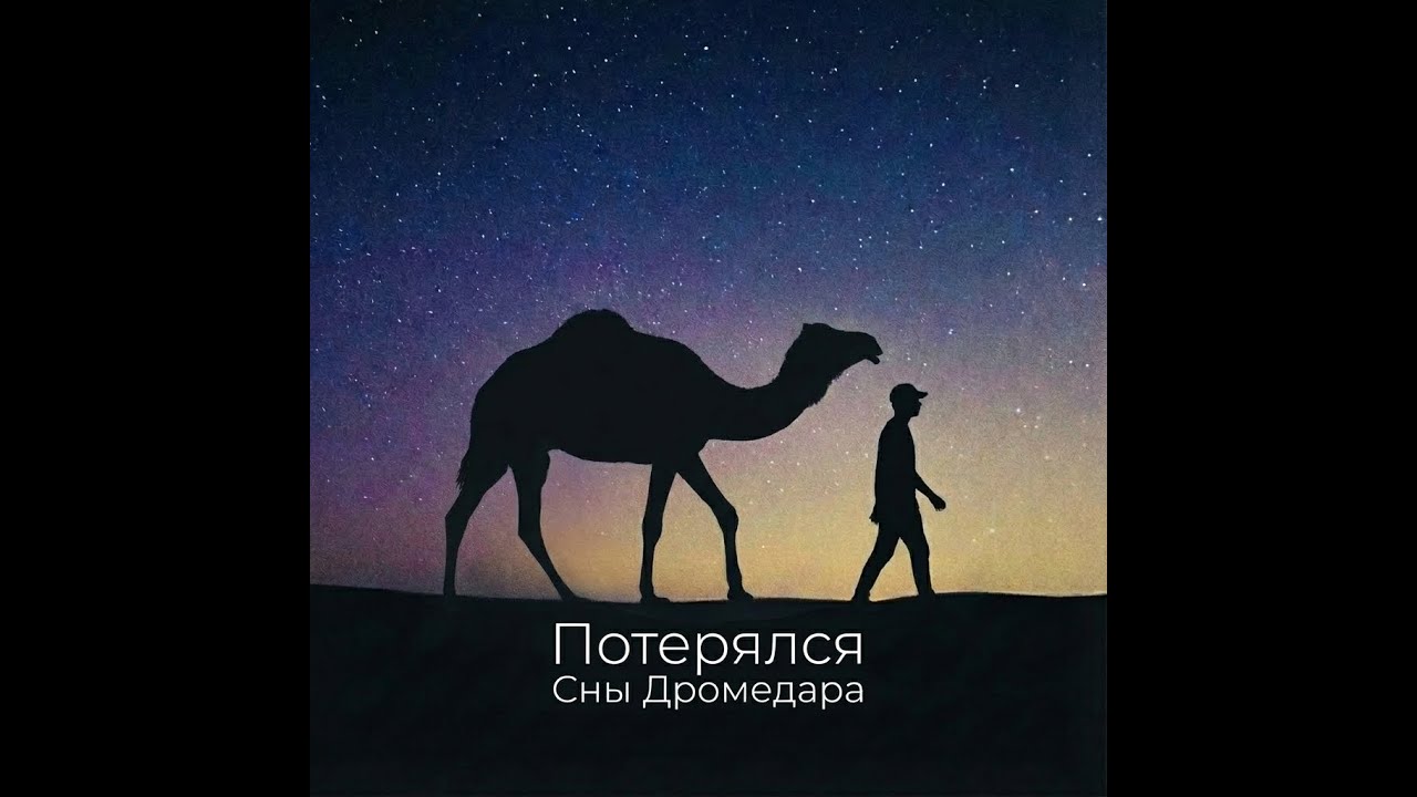 Потерялся - Сны Дромедара