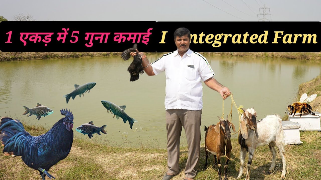 1 एकड़ में 5 गुना कमाई || Integrated Farm से भरेगी किसानों की जेब || समेकित कृषि(IFS) || Hello Kisaan