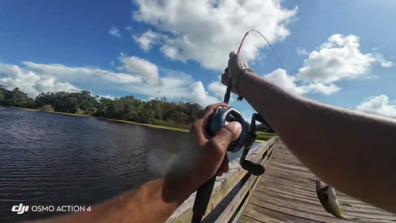 GORGEOUS BEAUTIFUL BASS CAUGHT BY HANDSOME MEXICN