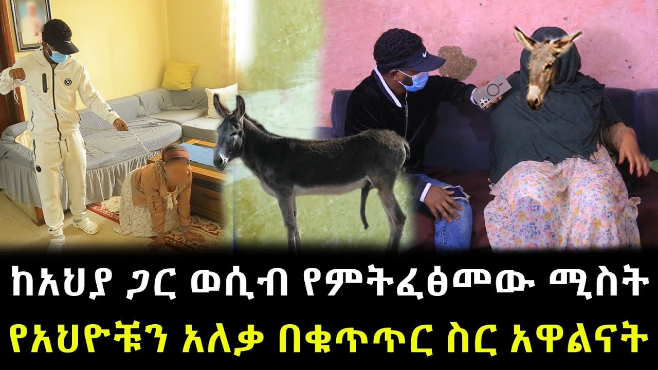 ዛሬም እያየናት ወደ አህያነት ተቀየረችብን ። የአህዮቹን አለቃ በቁጥጥር ስር አዋልናት !!