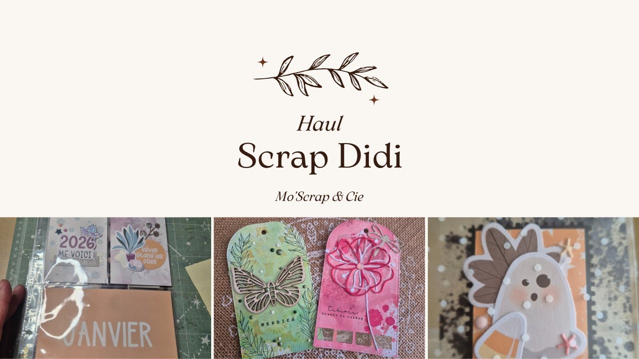 Haul Scrap Didi - Soldes d'hiver :)