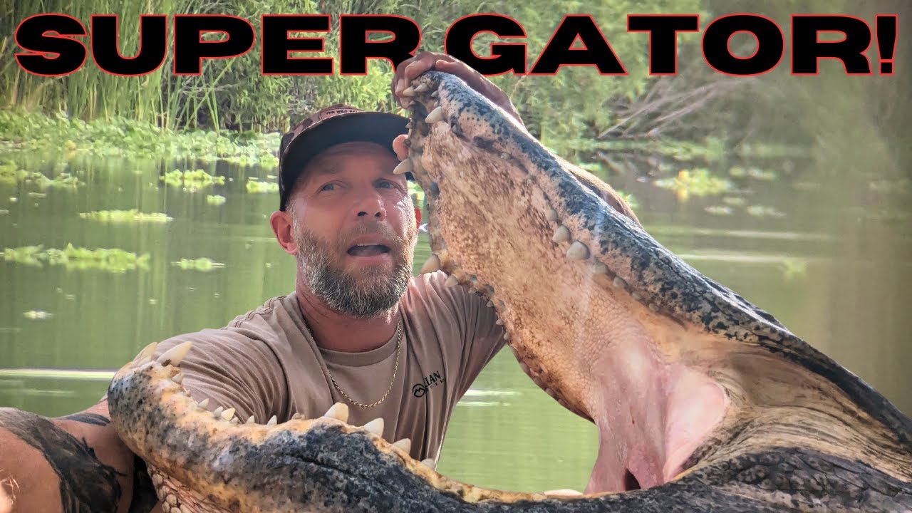 CRAZY BATTLE! - HUNTING A SUPER GATOR! * 2024 Florida Public Land Alligator Hunt * SUPER TAG FILLED!