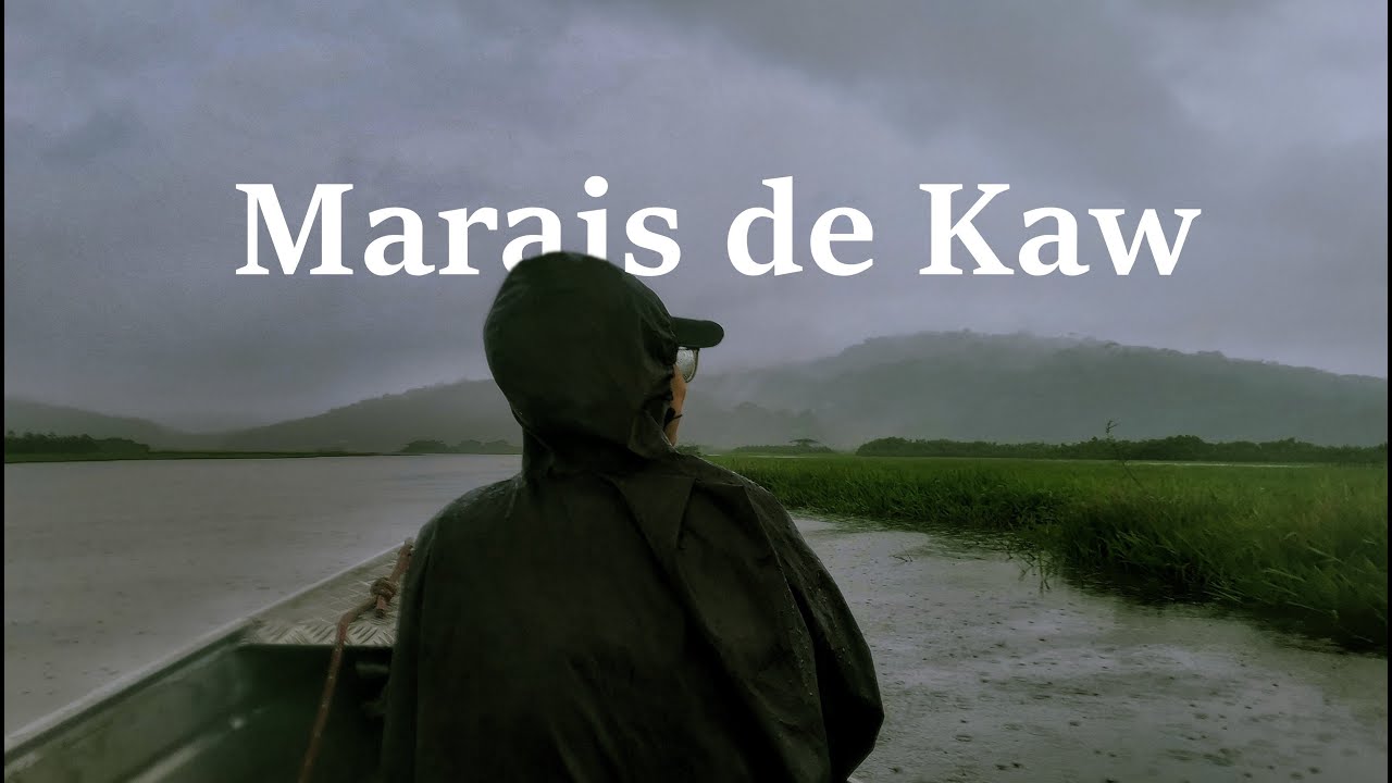 Marais de Kaw | nature in French Guiana